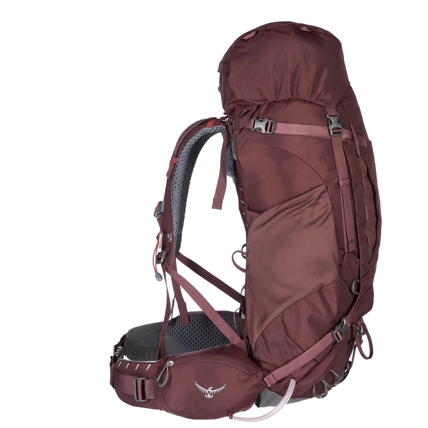 Osprey KYTE 58 Damen - Trekkingrucksack Damen – Bild 2