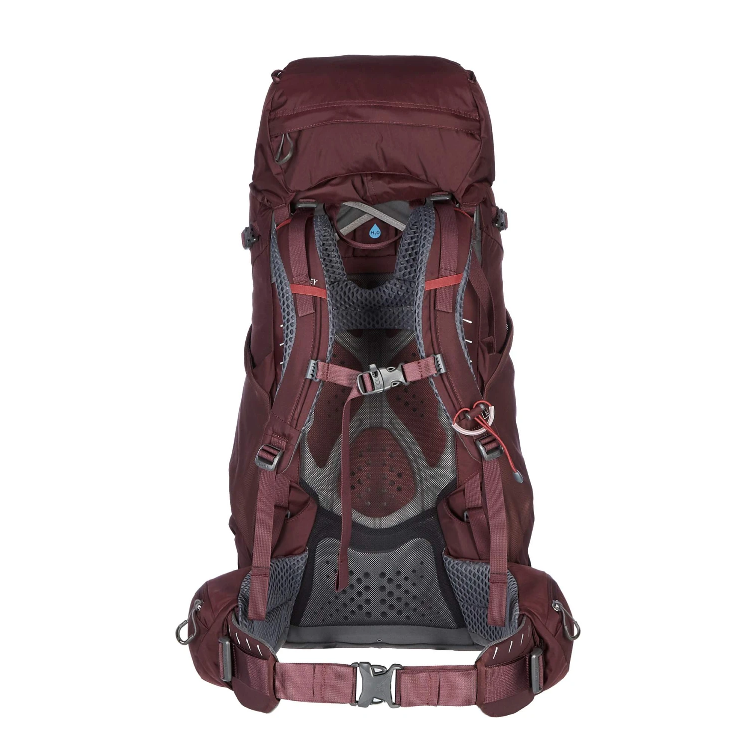 Osprey KYTE 58 Damen - Trekkingrucksack Damen – Bild 3
